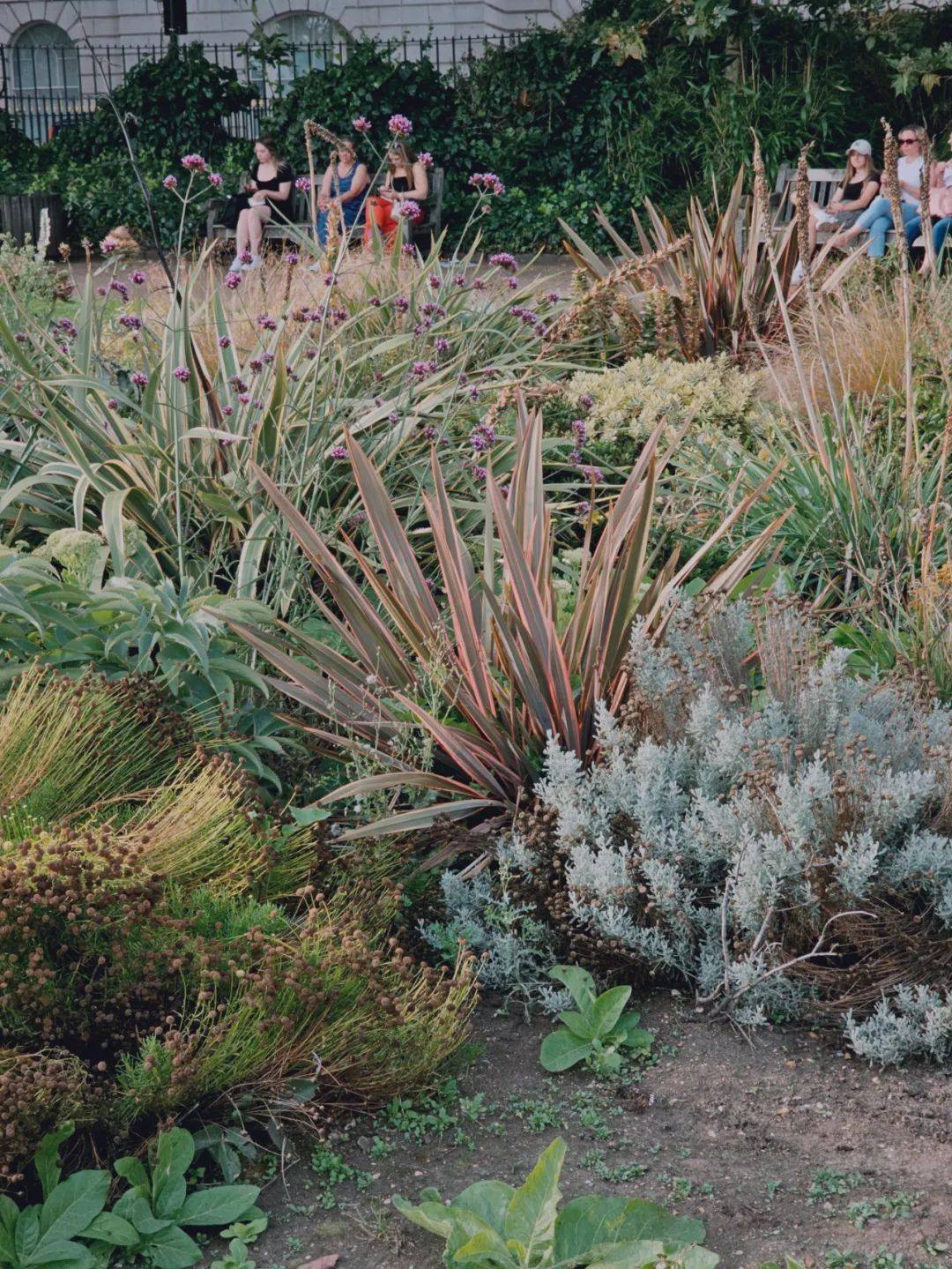 杨一木:百花深处_生活_伦敦_纪实