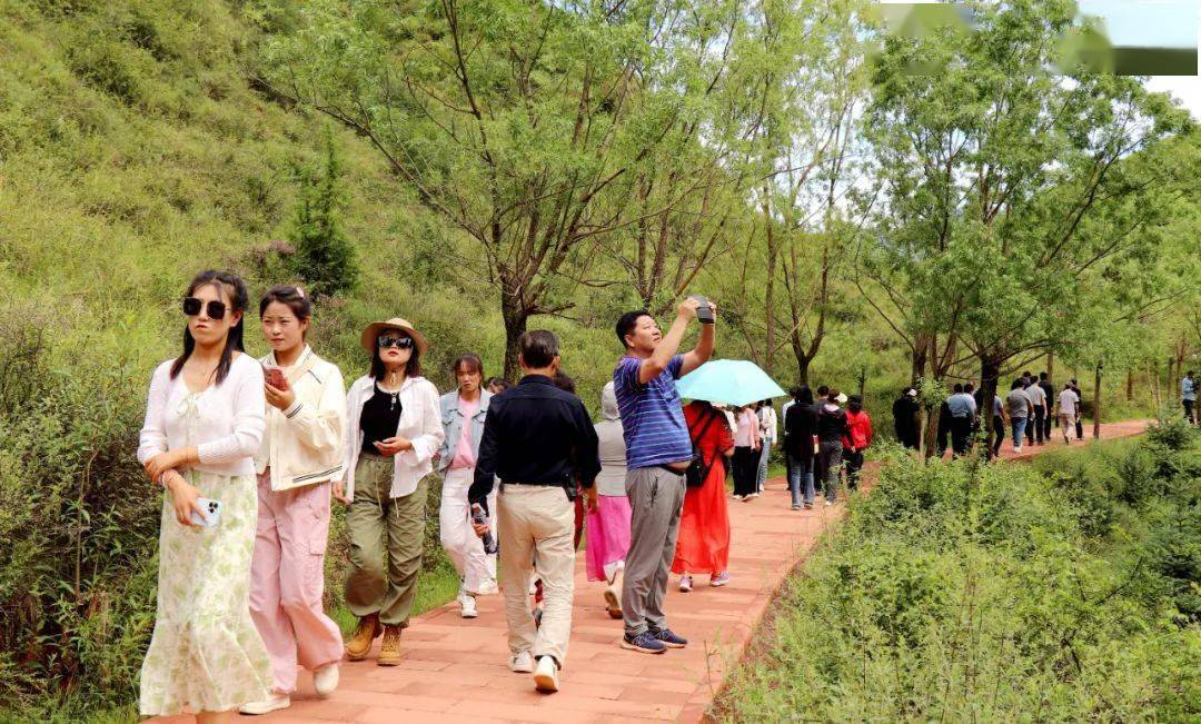 海拔在2200米以上,是集高山湖泊,丹霞地貌,亚高山草甸,梯田花海于一体