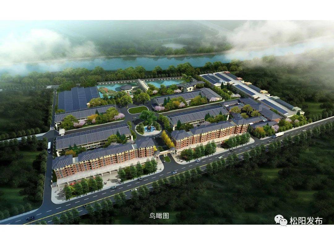 松阳县古市镇入选首批国家农业产业强镇_茶叶_发展_乡村