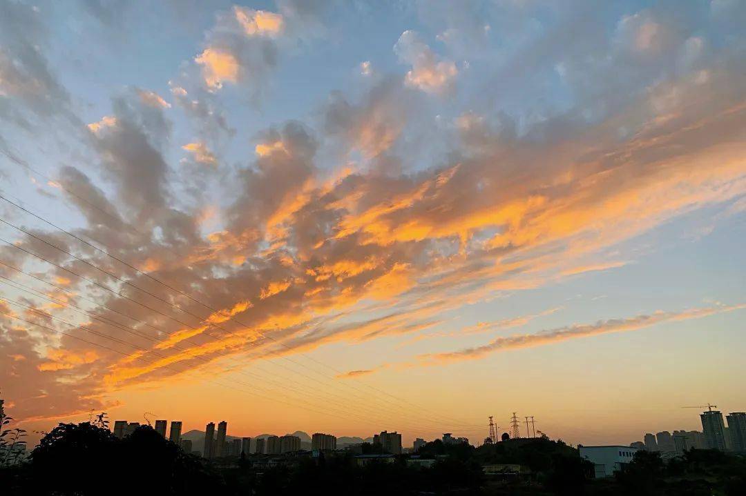 泰宁法院 肖辉《黄昏与狗》永安法院 林晟《茫茫远山近绿野》将乐法院