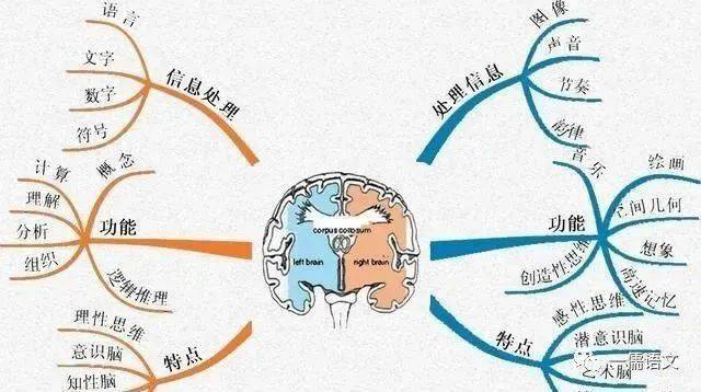中小学生读书方法_念书的孩子观后感800_孩子不喜欢读名著的原因