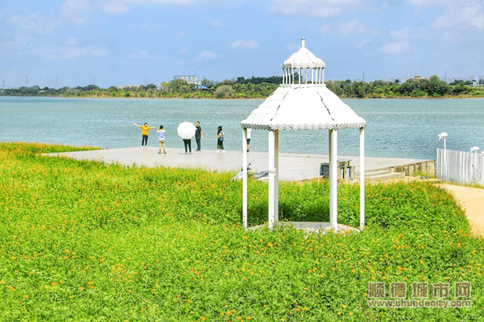 来顺德补充一下能量~_南沙岛_社区_工业