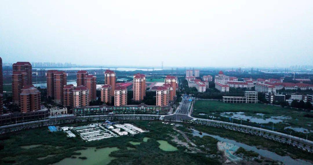 东丽湖汇智北道(东文路-天仁路)和汇智南道(汇智北道-东文路)道路工程