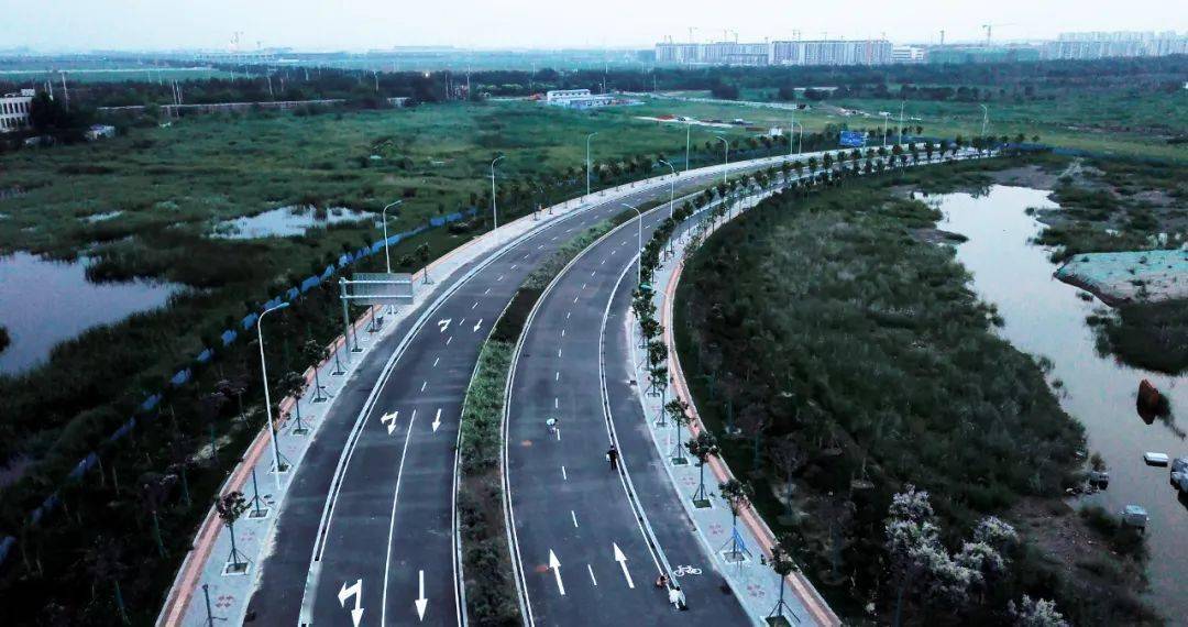 东丽湖汇智北道(东文路-天仁路)和汇智南道(汇智北道-东文路)道路工程