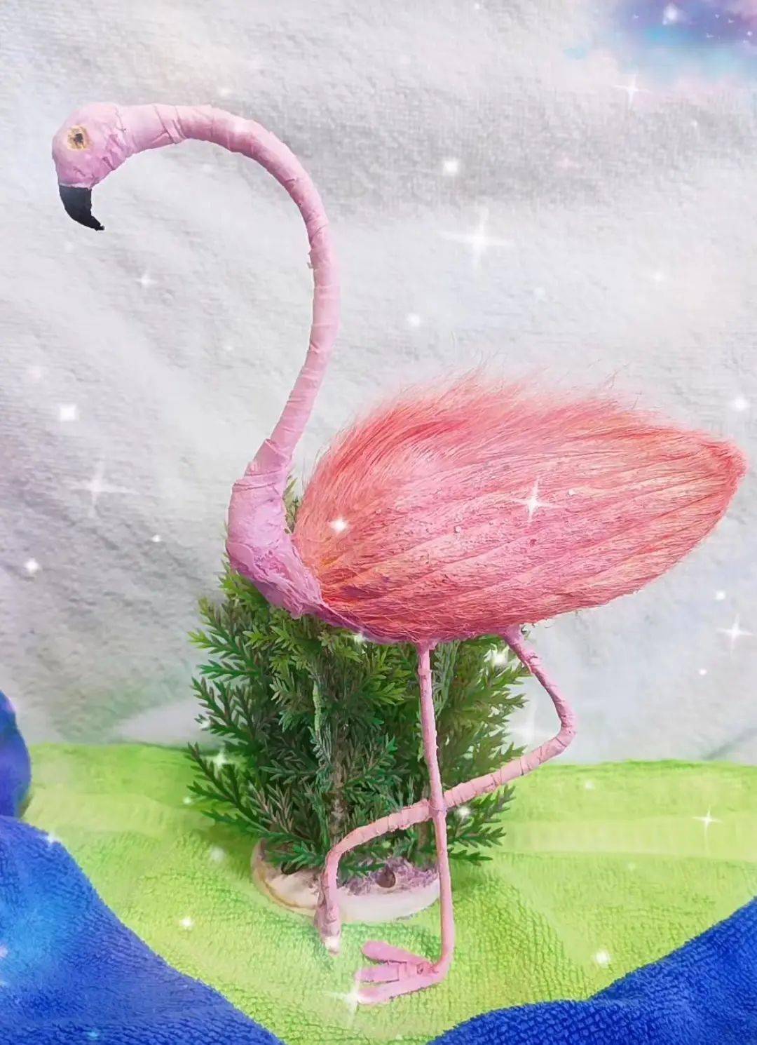 把芒果核当成宠物养?