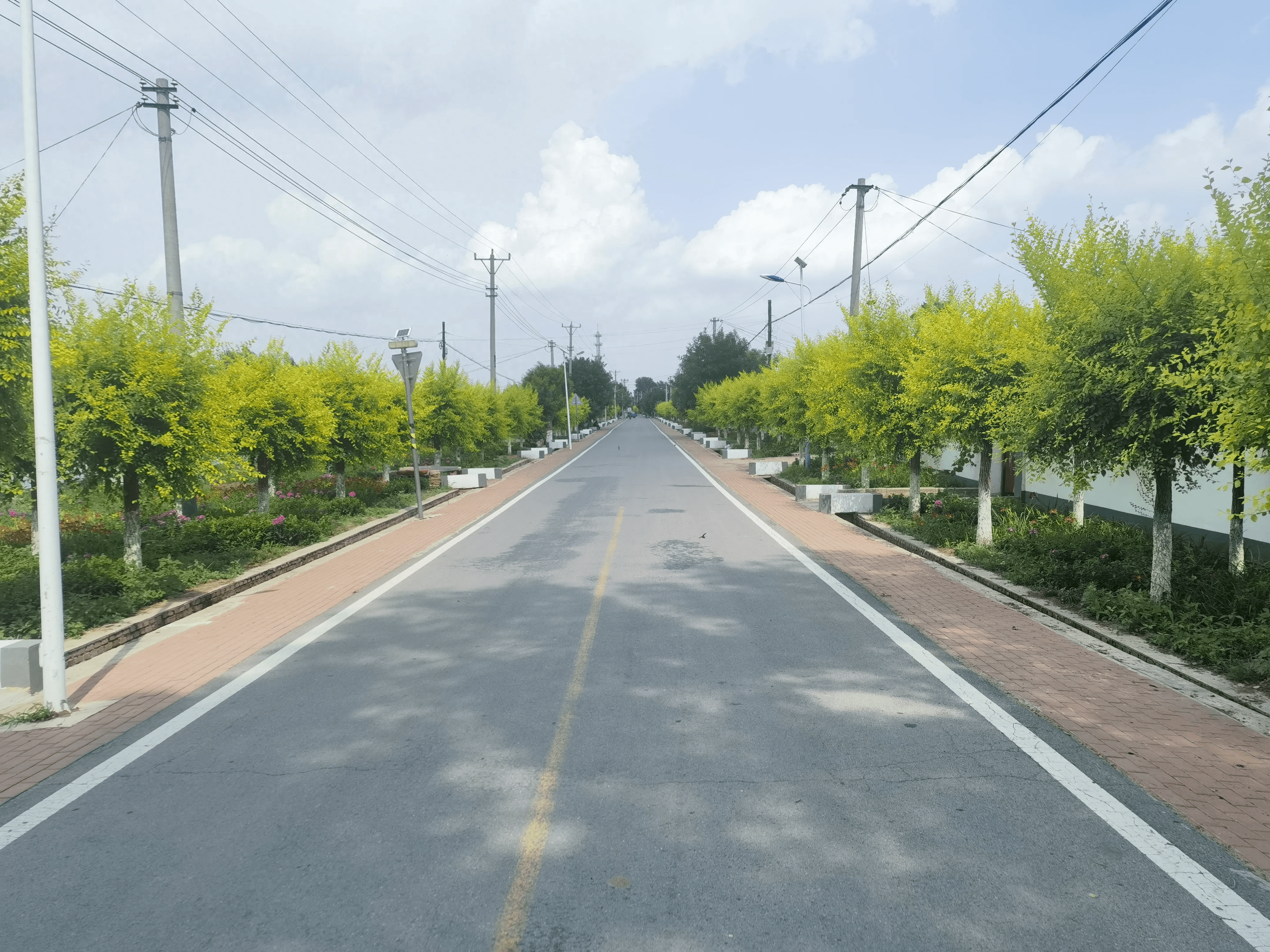 锦州黑山康宝现在情况图片