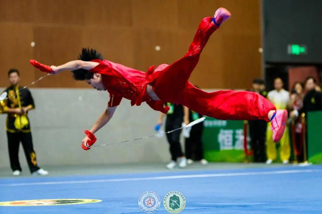 世界传统武术锦标赛精彩瞬间→_陈军_风采_王晶