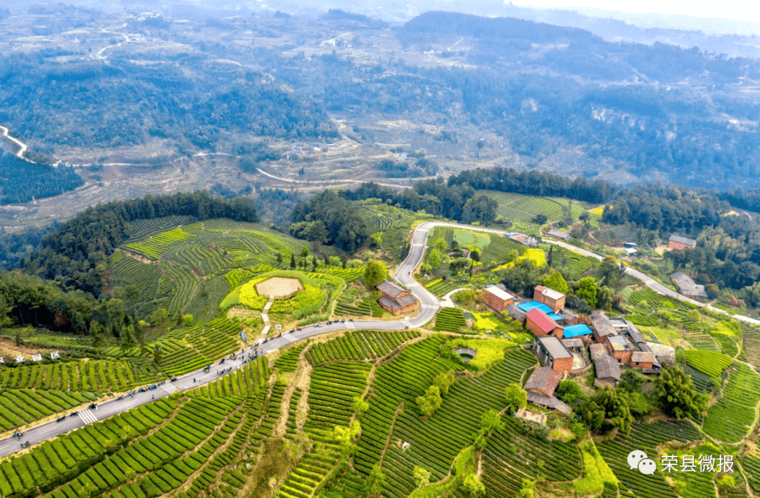 快来为国字号的美加油打call呀来源丨荣县微报————·没收违法所得