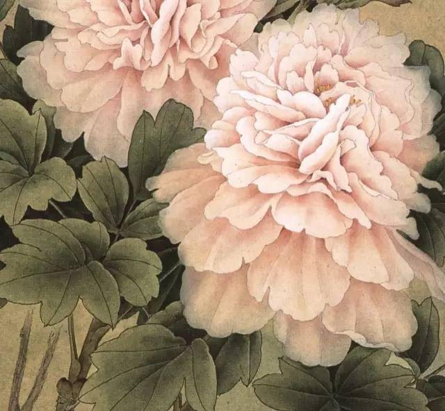 周中耀先生画牡丹,美,妙!_作品_工笔画_图片