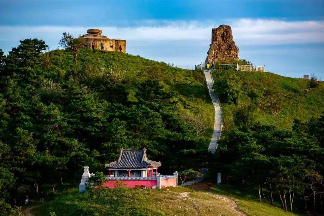 沈北秋日美景太出片了!_part_have_稻田