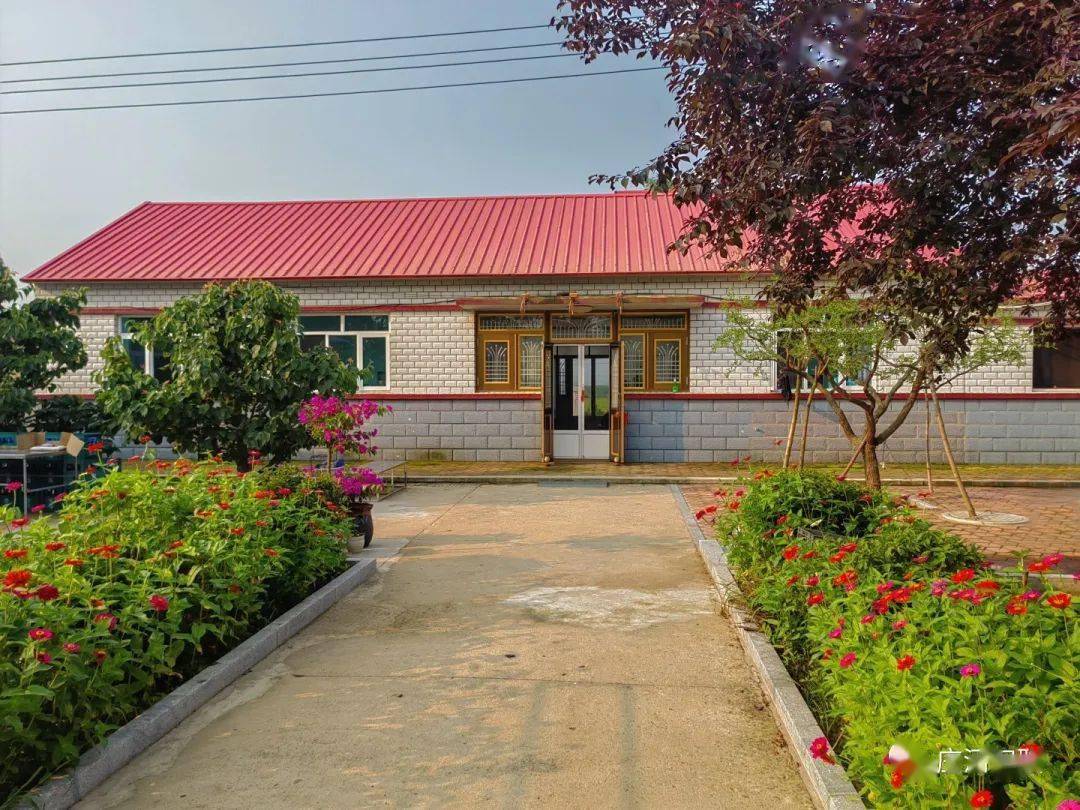 建和美乡村 晒美丽庭院|晒晒我的小院子71黑岛镇_工作_庄河市_环境