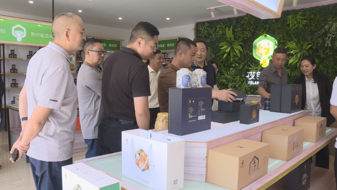 杨虹一行先后来到马官镇金荷村综治中心,普定县夜郎蜂业公司专属网格