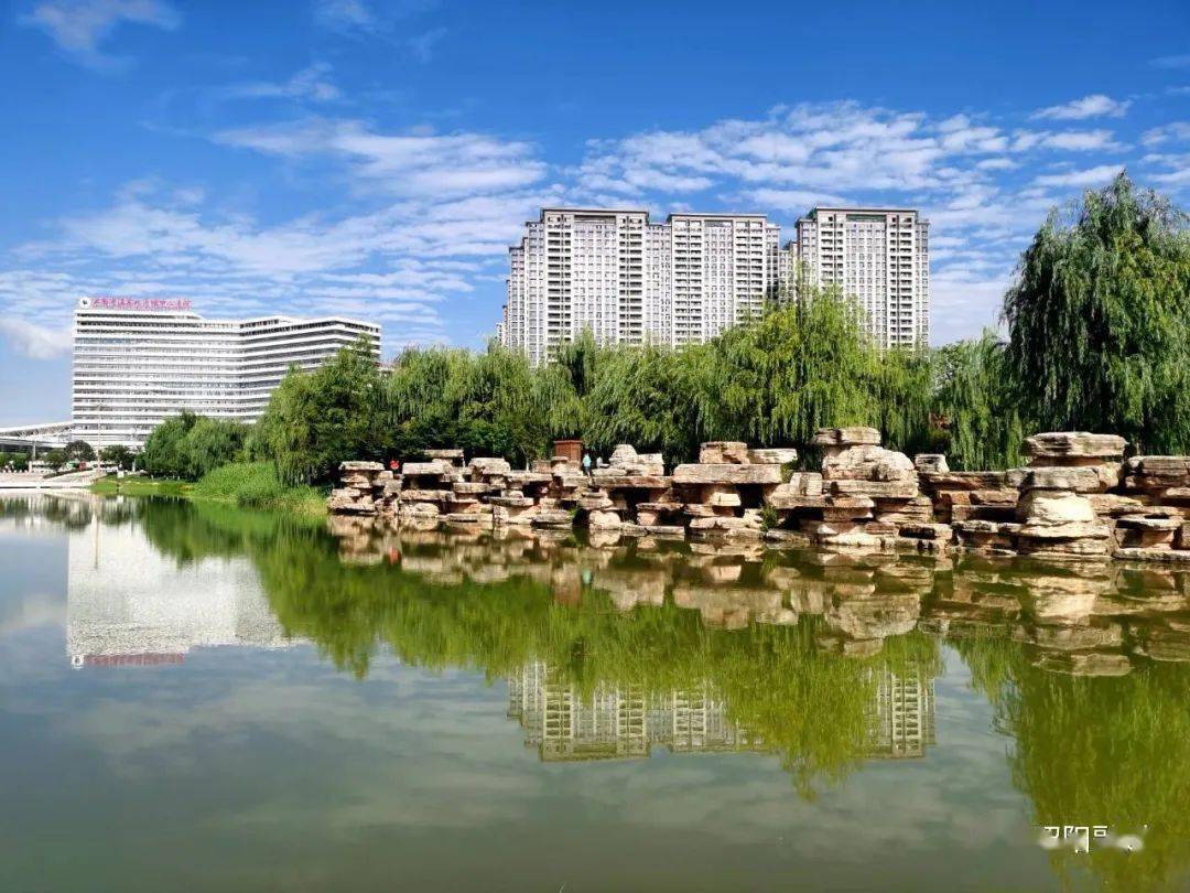 昭通中心城市乌蒙水乡公园莲花开了!_昭阳区_赵磊明_来源