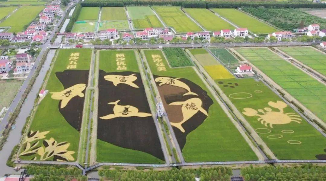 俞孔坚入选中国工程院院士增选名单;2023年asla大奖重磅公布 | 园林