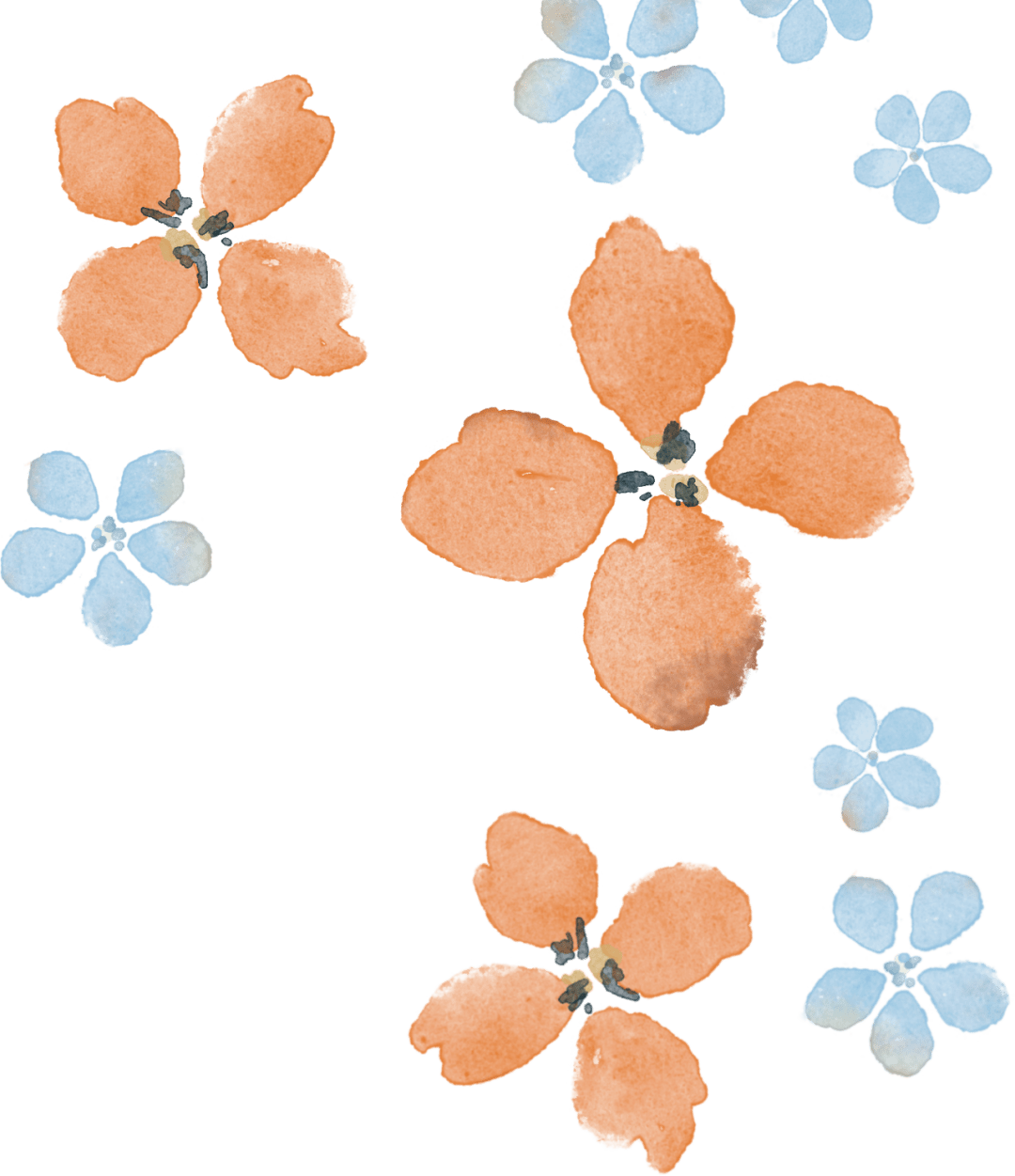 九月演出一览|九周年演出季重磅开启,快来get秋天的