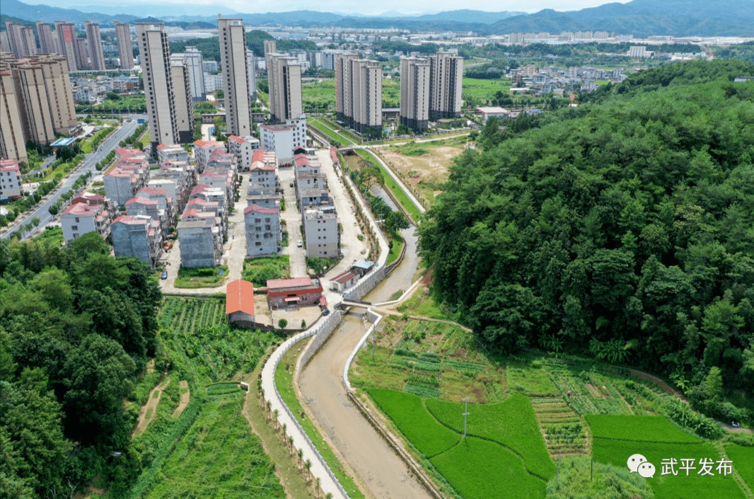 拥有"绿丝带"的武平南部片区,你心动了吗?_河道_建设_项目