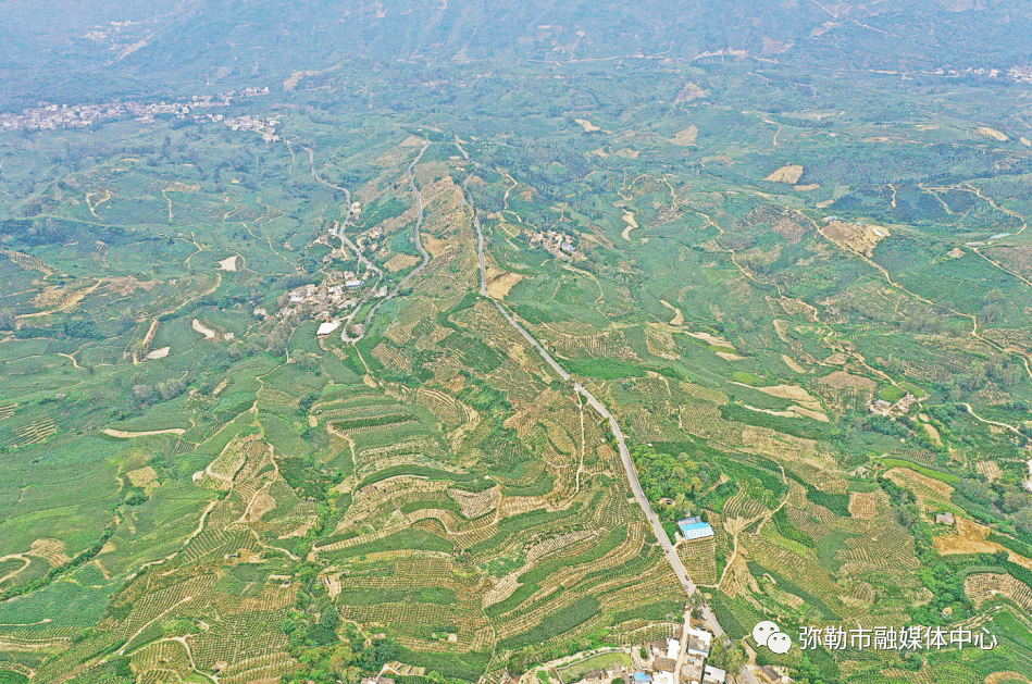 弥勒此镇,他带领!打造4个亿元产业67_柳云彪_西二镇_发展