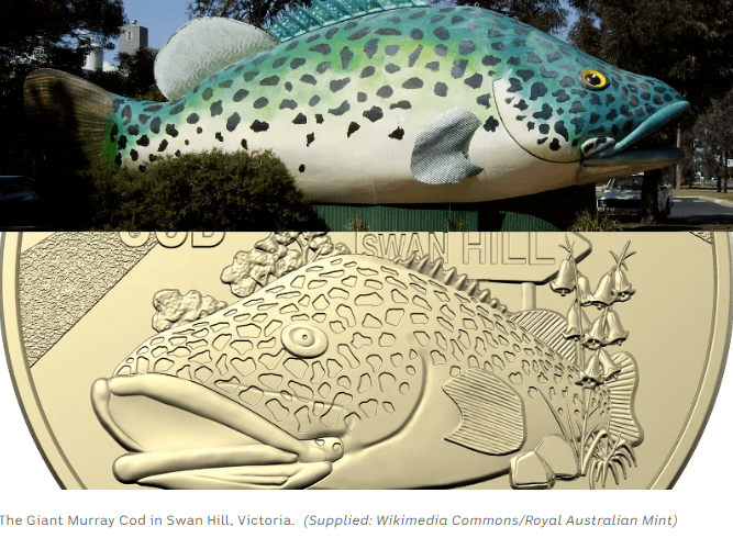 昆州大菠萝,新州大香蕉!