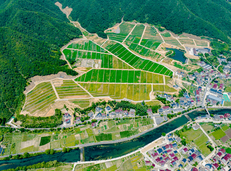 壽昌鎮桂花村壽昌鎮桂花村位於建德市西南部,地理位置優越.