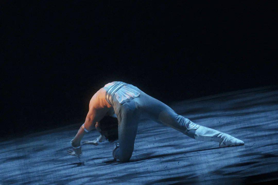 影册|"为人民而舞"--纪念贾作光诞辰100周年舞蹈专场演出_篇章_鸿雁