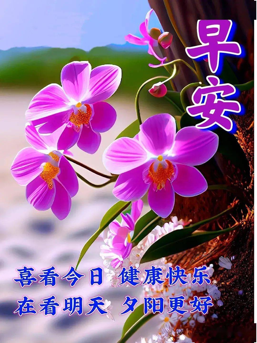 健康快乐早上好 祝福图片