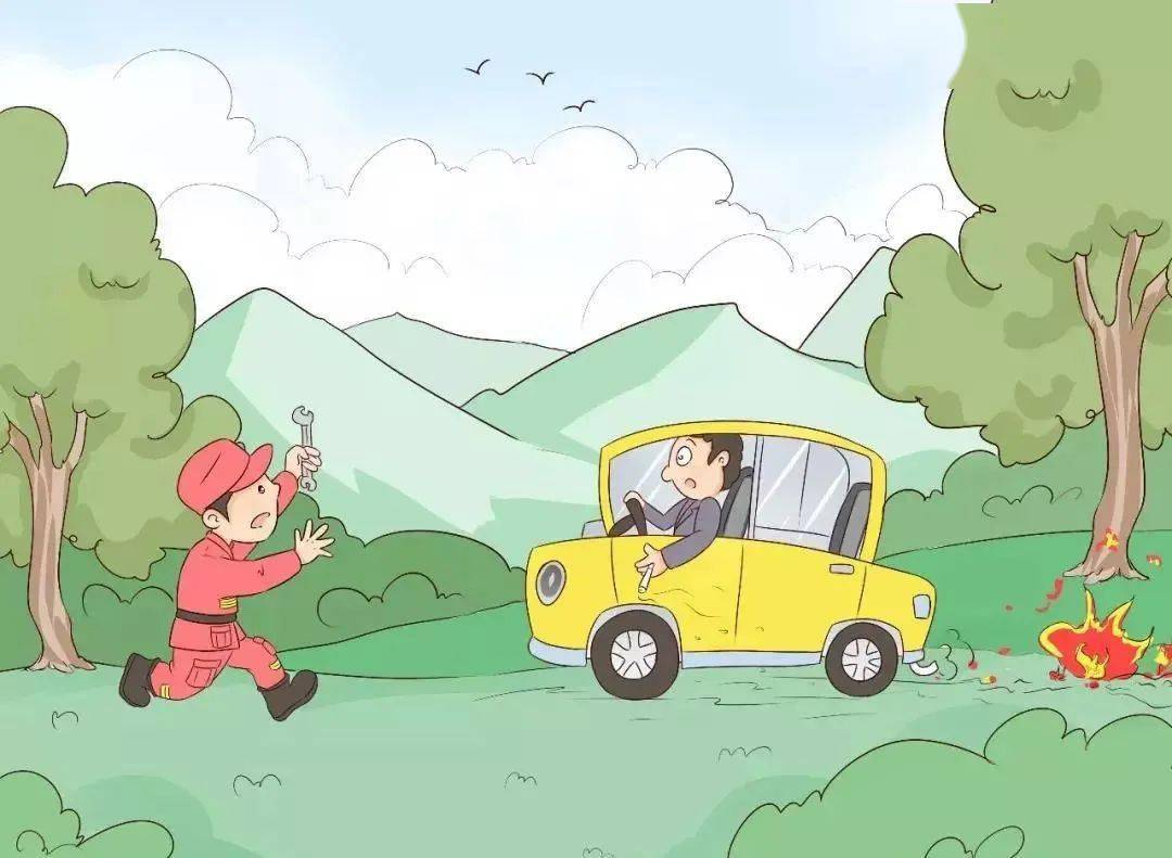 环保科普 | 关于生态环保,你需要了解的知识_森林_林地_保护