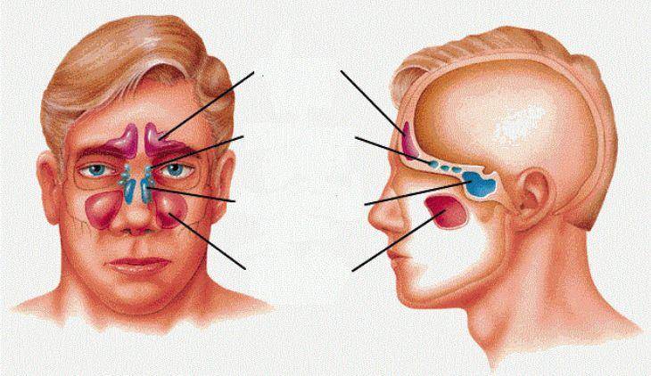 家长需要重视!_鼻涕_鼻腔_济南