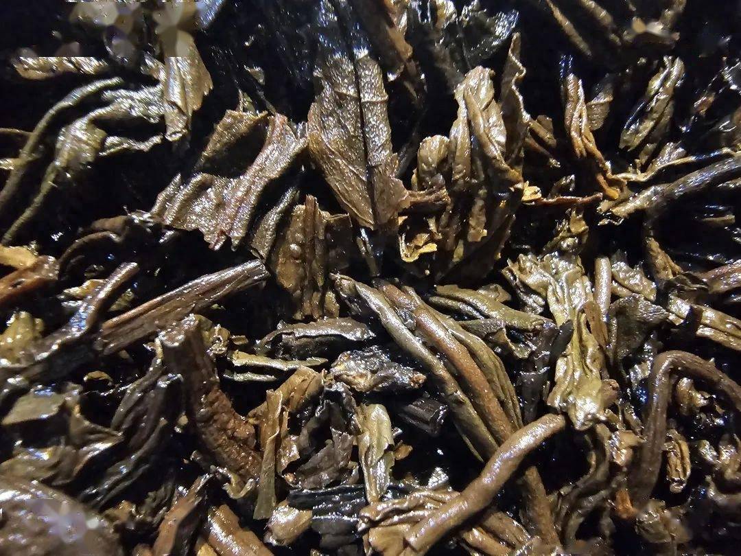 一款不断进化的标本|三鹤六堡茶【2503】品鉴评测!_梧州_广西_茶厂