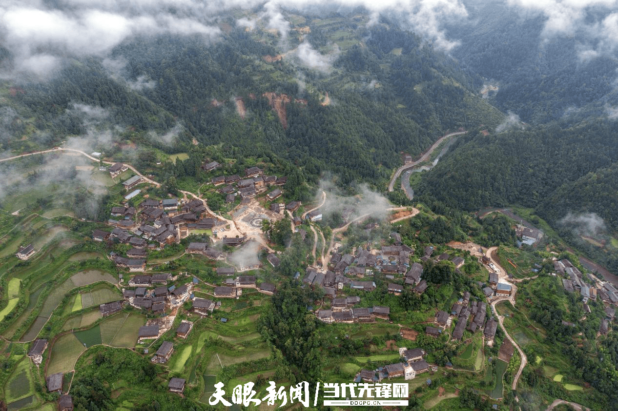 雷山县委书记杨锦春:全面推进国家乡村振兴示范县建设_发展_旅游_生态