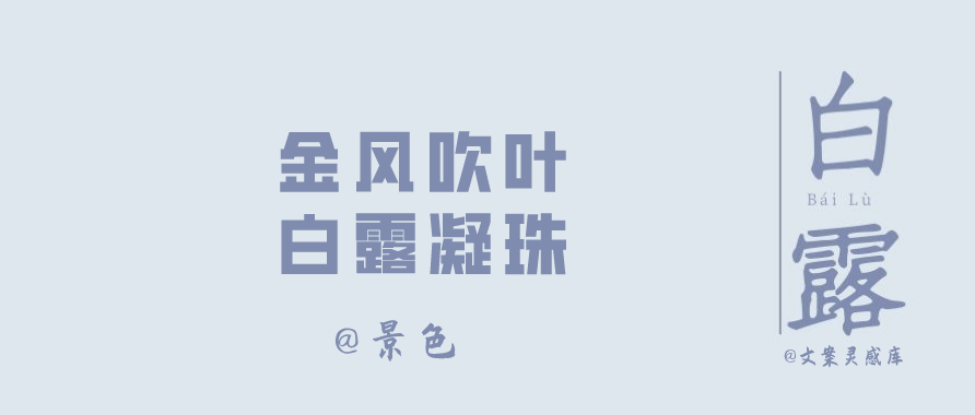 白露节气 各大品牌文案