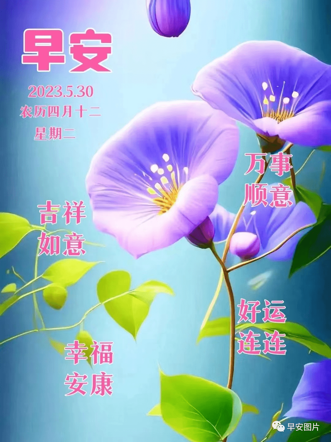 微信唯美早上好的问候语祝福图片,一句问候开启美好的一天_有缘_友谊