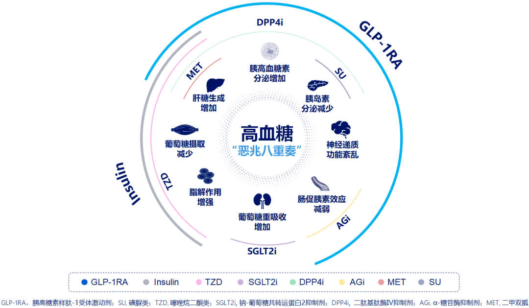 基礎胰島素與glp-1ra聯合治療,覆蓋t2dm發病機制