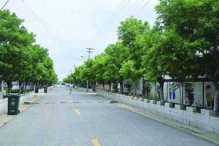 人居环境美 助力"加速跑"_卢龙县_整治_机制