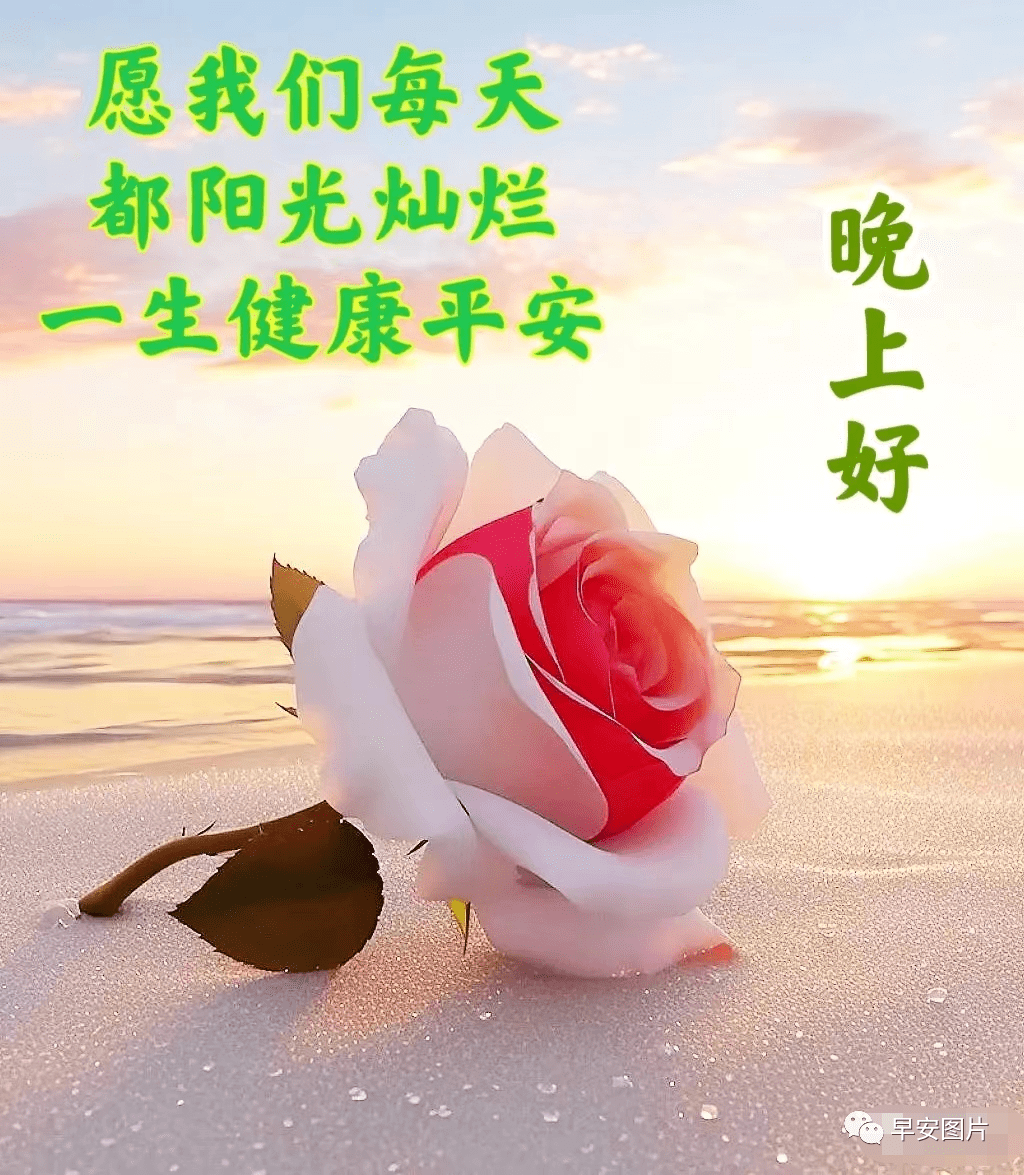 友情祝福图片带字图片图片