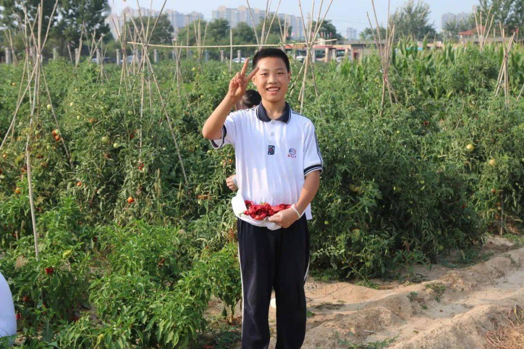 劳动砺心志,实践促成长 ——临汾三中初二年级开展校外实践活动_农业