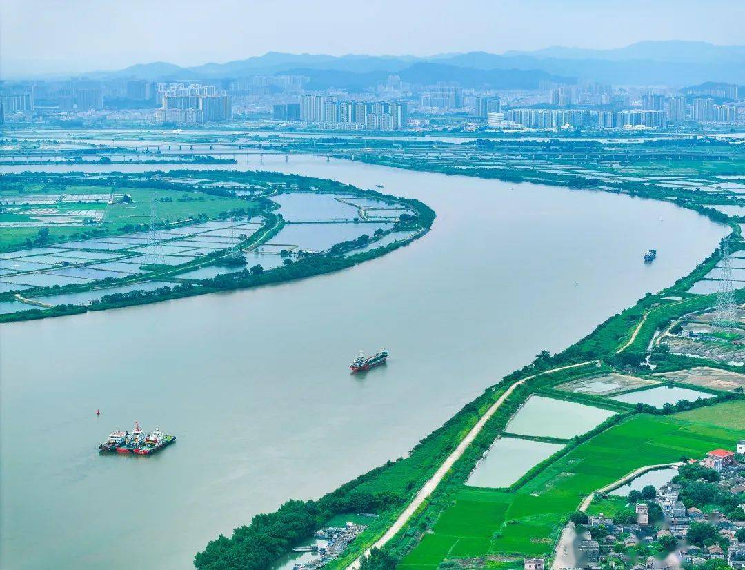 漠阳江整治保护初见成效_村民_水质_养殖