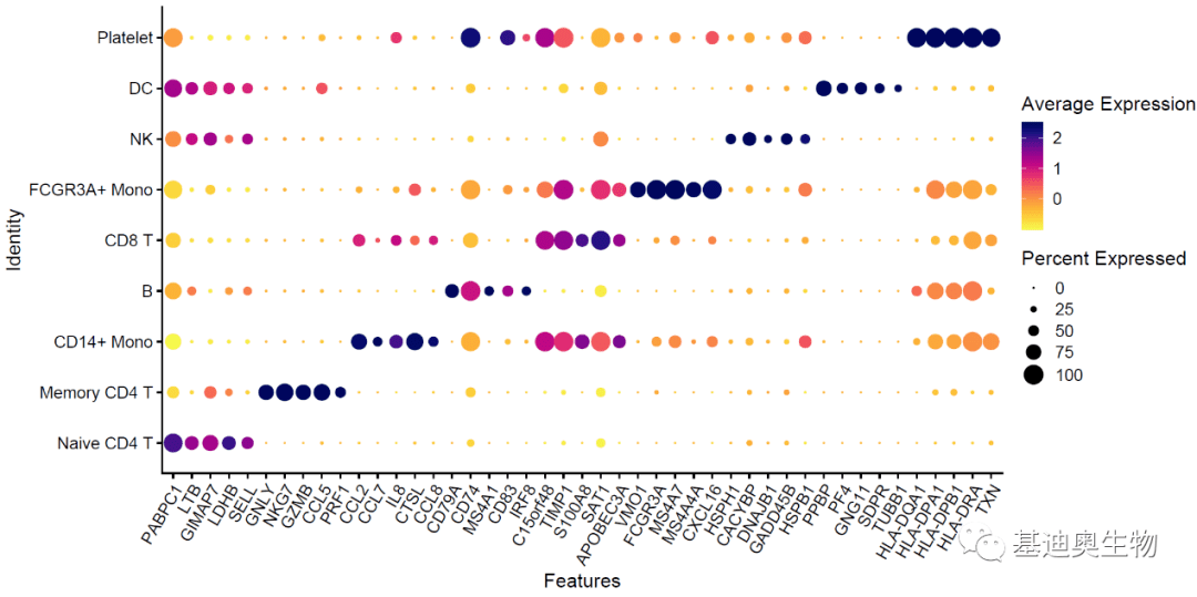 如何绘制好看的表达分布气泡图？分享2种方法！_Idents_函数_head