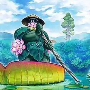 卡图上那种能当船来使用的巨大莲叶可能是王莲的叶子.