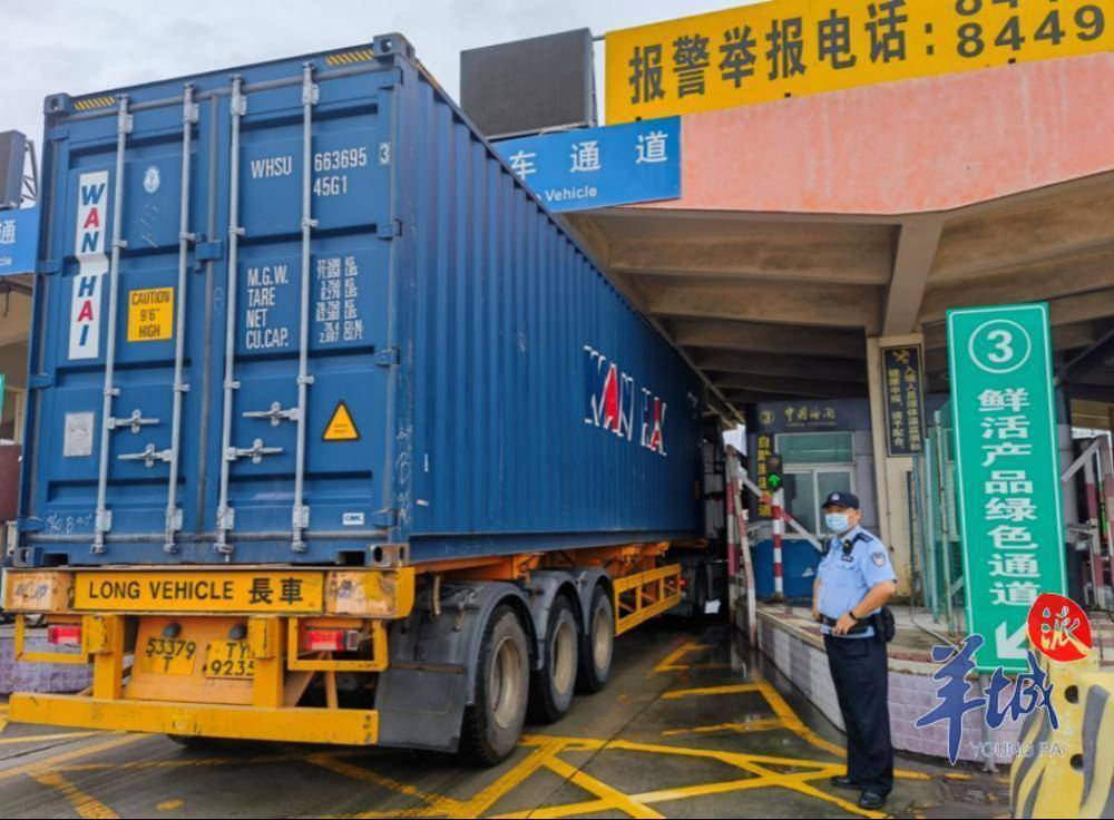 受天气影响,皇岗口岸车流激增,全部入境查验通道开启