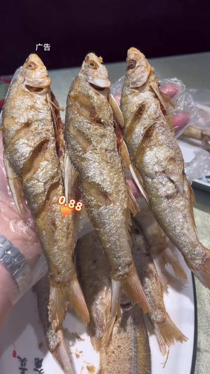 088一条的干炸麻鲢鱼就在金牌牛骨抖音美食推荐官 快来一起尝个鲜 这