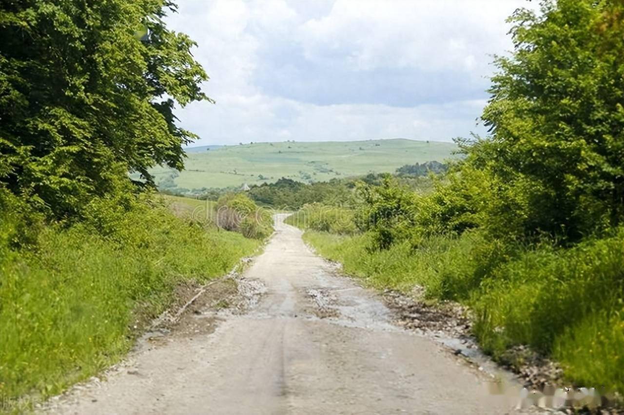 走在乡间的小路上,张明敏,叶佳修,到底谁是原唱_孩子_泥土_温情