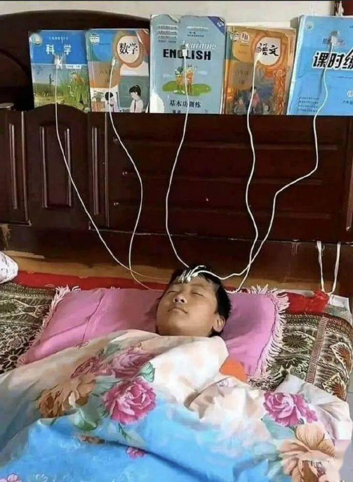 昨晚刚一回家,就撞到家里的狗正在吭哧吭哧狂啃大头菜.