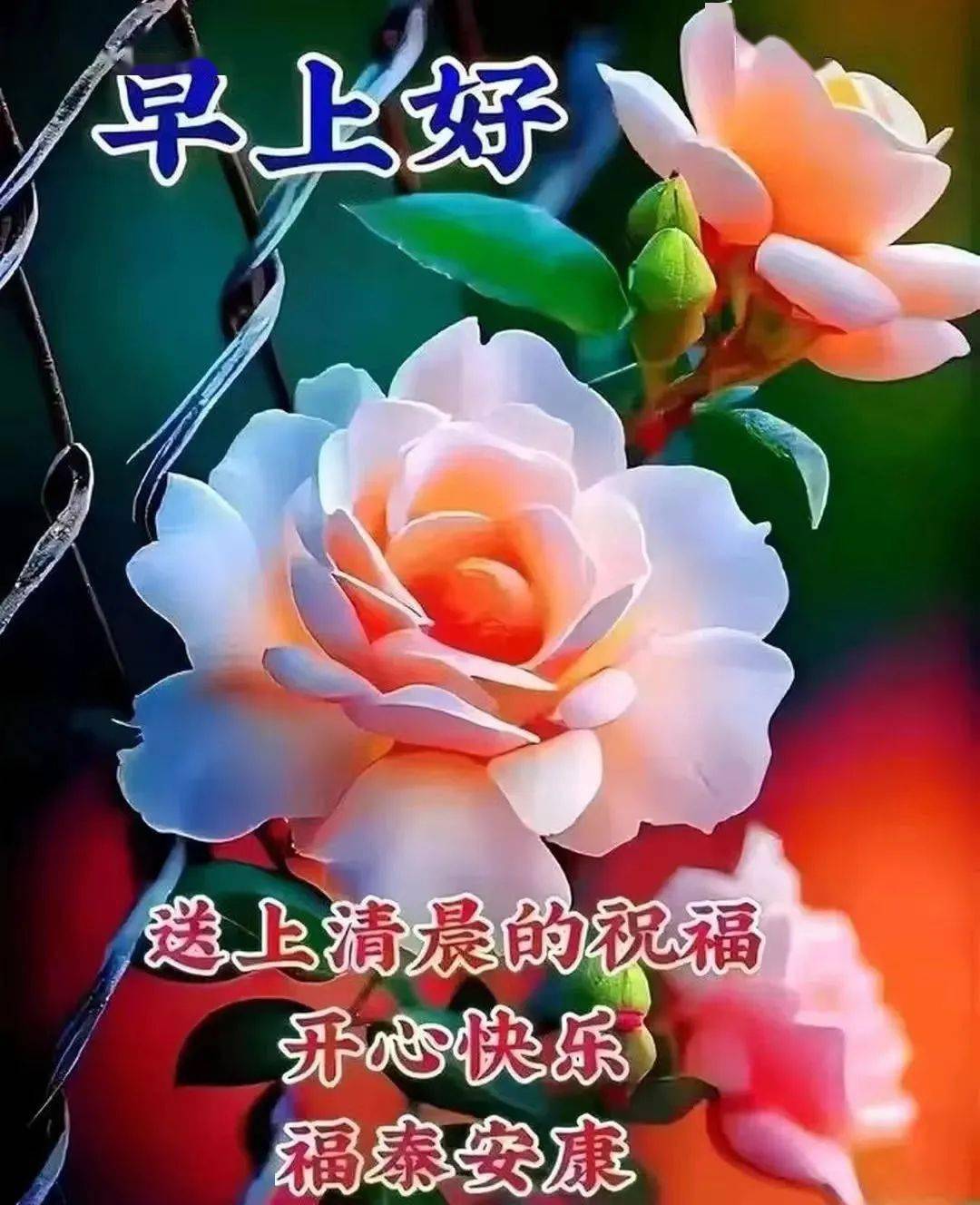 早上好每天祝福语微信图片