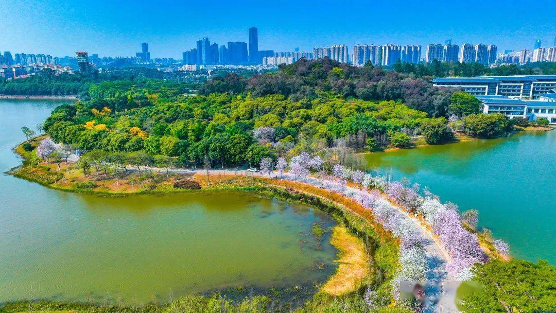 东莞,「天空之城」_城市核心_南城_翟嘉欣