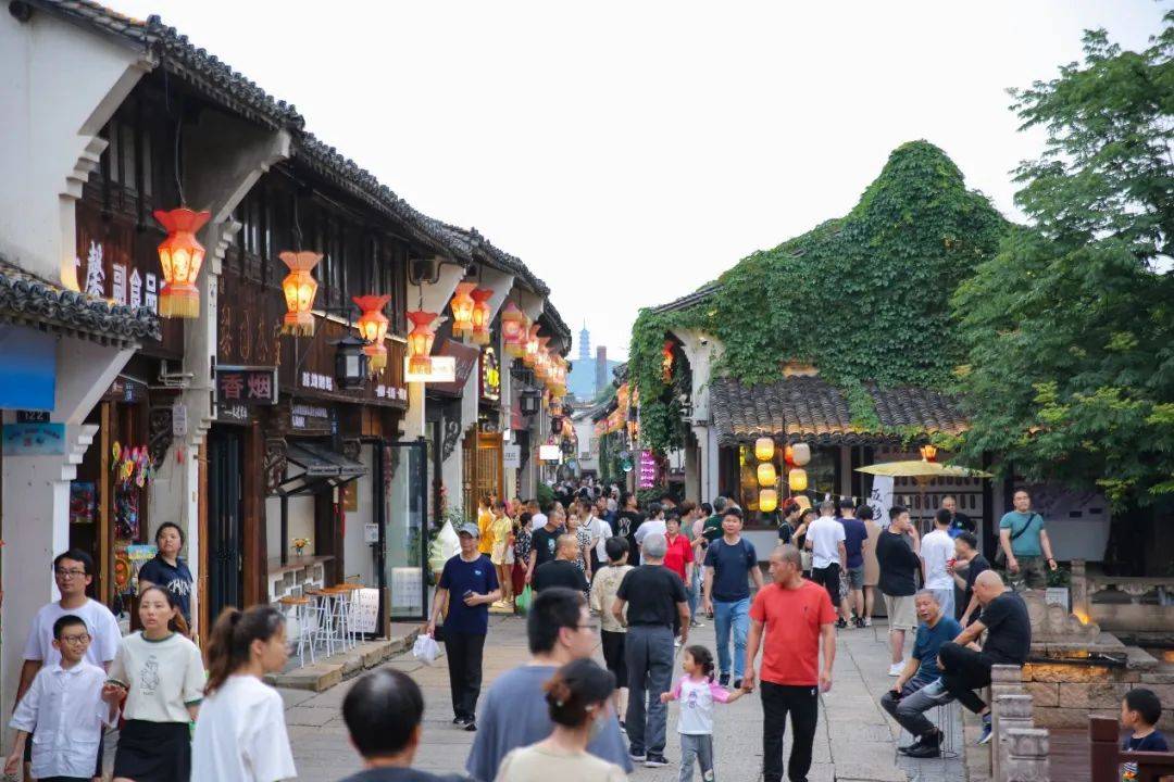海宁硖石传统风貌样板区创建成功_文化_城市_街区