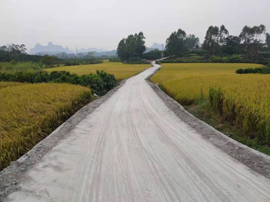 象州县大乐镇:修好产业路,打通幸福"快车道"!_发展_村委_群众