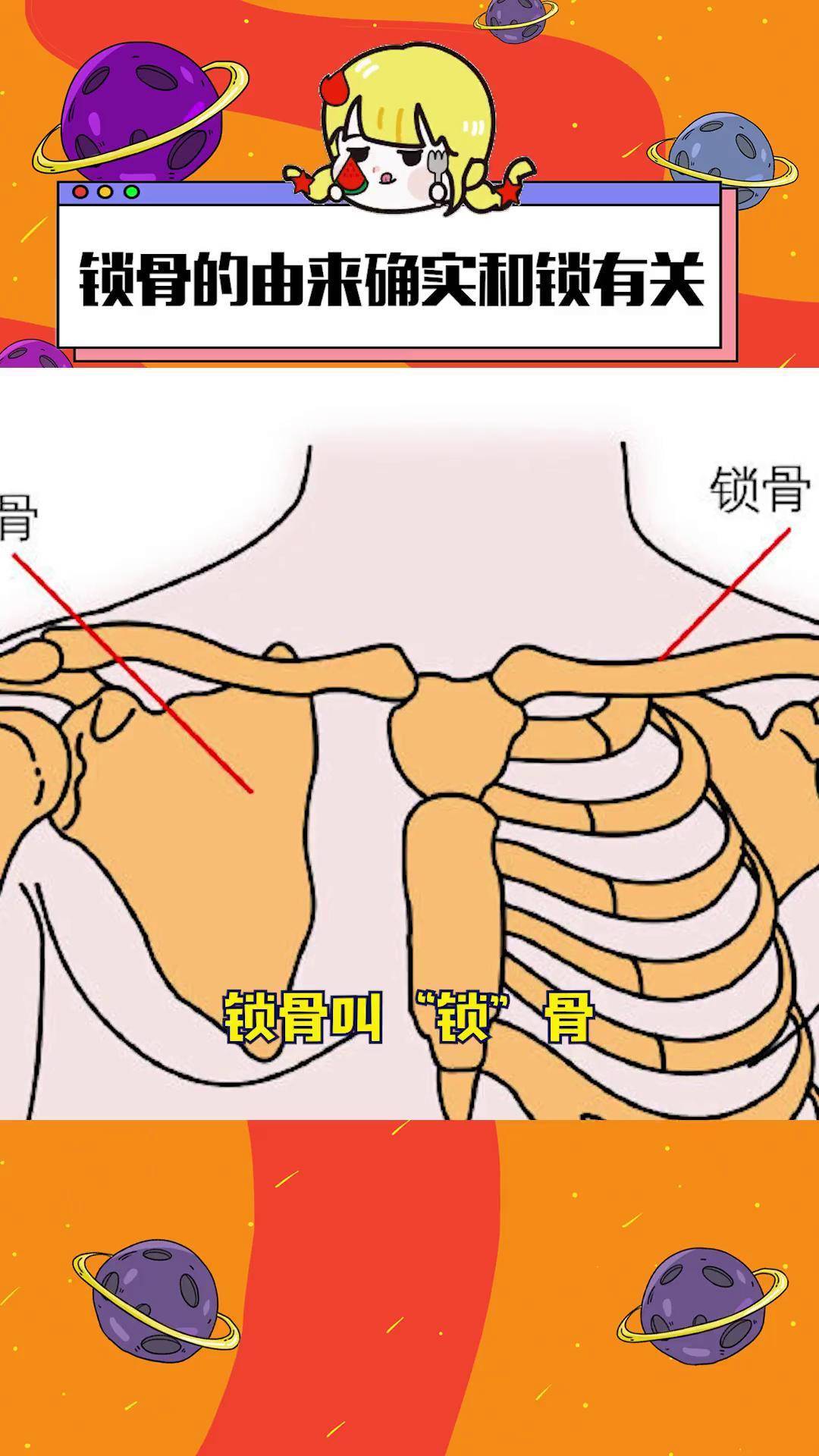 锁骨下方图片