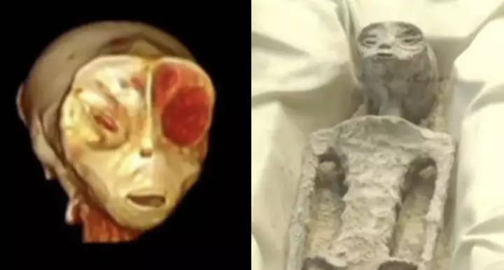 “遗骸”墨西哥公布疑似“外星生物”遗骸，网友：和ET太像了