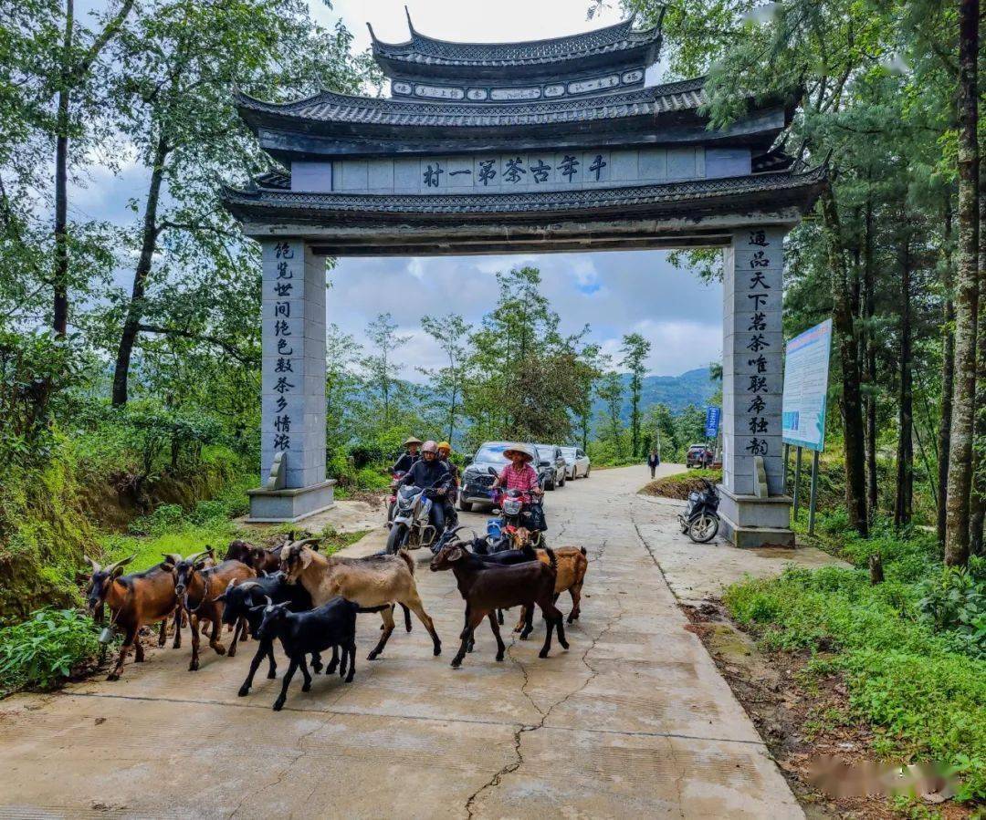 昌宁县湾甸镇图片