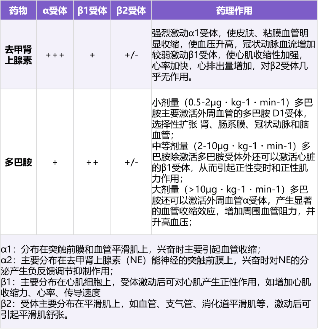 去甲肾上腺素微泵剂量图片